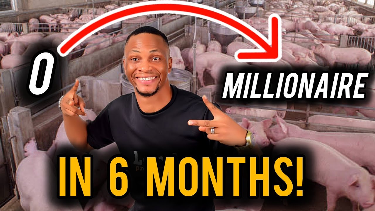 How To Start a PIG FARM In 1 Month! (Mercyland Estate)